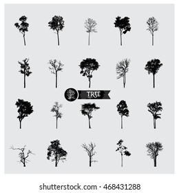 Set of vector tree silhouettes.