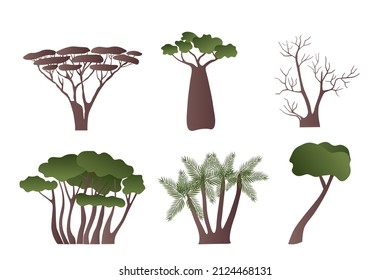 Set of vector trees from Africa and the Orient for design. Acacia, palm and similar 
