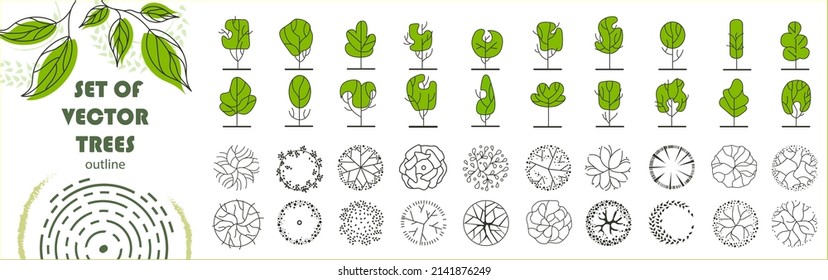 Set of vector trees. Entourage design for the plan. Various trees, bushes, and shrubs, top view for the landscape design plan. Vector illustration.