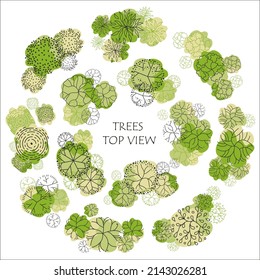 Set of vector trees. Entourage design. Various trees, bushes, and shrubs, top view for the landscape design plan. Vector illustration.