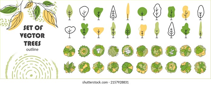 Set of vector trees. Entourage design for the plan. Various trees, bushes, and shrubs, top view for the landscape design plan. Vector illustration.