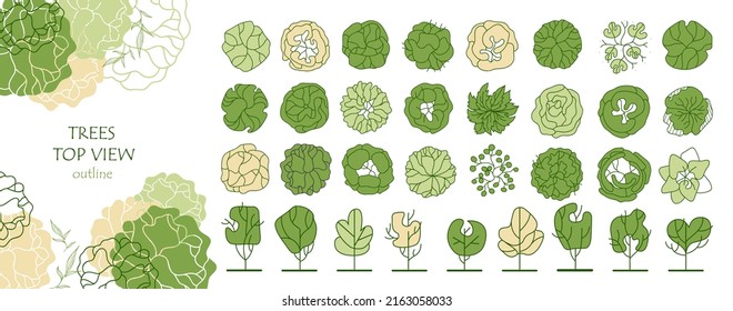 Set of vector trees. Entourage design for the plan. Various trees, bushes, and shrubs, top view for the landscape design plan. Vector illustration.