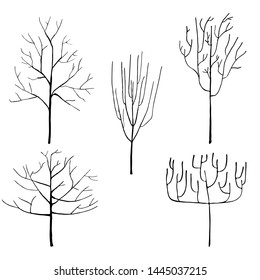 Set of vector trees. Hand drawn illustration of naked trees. Black silhouettes on white background.