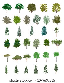 Set of vector trees. Isolated on a white background.