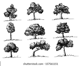 Set of Vector trees with leaves 