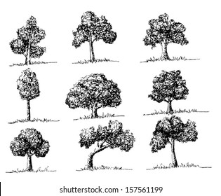 Set of Vector trees with leaves 