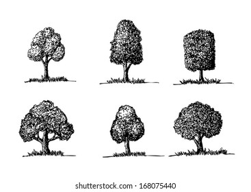 Set of Vector trees with leaves 