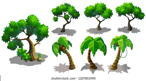 Set of vector trees and palm trees. illustration isolated on white background.