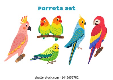 Set of vector tropical birds. Exotic parrots: macaws, lovebirds, cockatoos, budgerigar. Illustration in flat style.