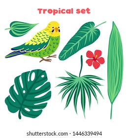 Set of vector tropical birds and leaves. Exotic parrot: budgerigar and plants: monstera, hibiscus, palm. Illustration in flat style.