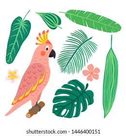 Set of vector tropical birds and leaves. Exotic parrot: cockatoo and plants: monstera, banana ,hibiscus, palm . Illustration in flat style.