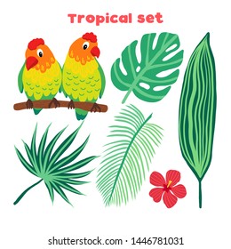 Set of vector tropical birds and leaves. Exotic parrot: lovebirds and plants: monstera, hibiscus, palm. Illustration in flat style.