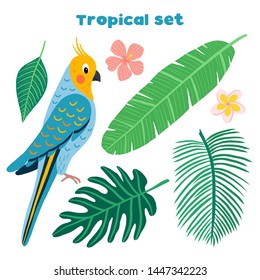 Set of vector tropical birds and leaves. Exotic parrot: Cockatiel  and plants: monstera,banana, hibiscus, palm. Illustration in flat style.