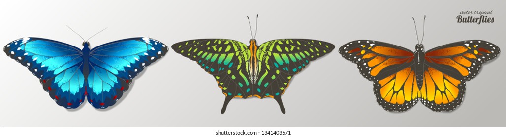 Set of vector tropical butterflies. Hand drawn watercolor isolated illustration.