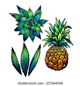 set of vector tropical elements: pineapple, aloe vera and cactus