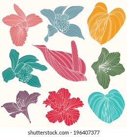 Set of vector tropical flowers