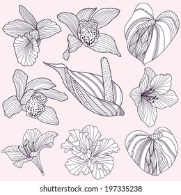 Set of vector tropical flowers