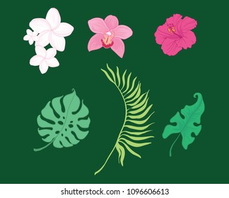 Set of vector tropical flowers and leaves. Great for summer party invitations,packaging, scrapbooking design projects. Surface pattern design.