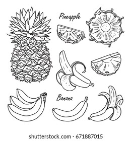 Set of vector tropical fruits: pineapple, banana. Hand drawn collection for design, isolated on white. Black lines sketch