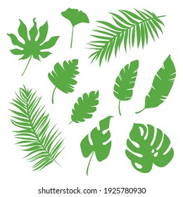 Set of vector tropical green leaves, herbal element. Can be used as isolated sign, symbol, icon. Simple collection of botanical vector flat plant illustration. Exotic leaves from jungle or rainforest.
