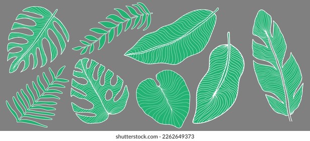Set of vector tropical green leaves on a gray background: palm leaves, fern, banana leaves, monstera.