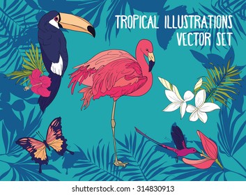 set of vector tropical illustrations: birds and flowers