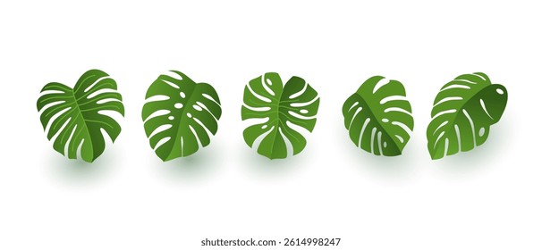 Set of vector tropical leaf plants isolated on white background. Simple flat vector

