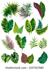 Set of vector tropical leaves.