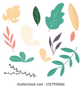 Set with vector tropical leaves