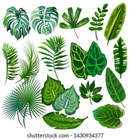 Set of vector tropical leaves.