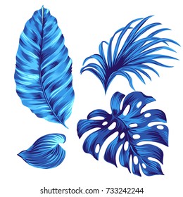 Set of vector tropical leaves. 