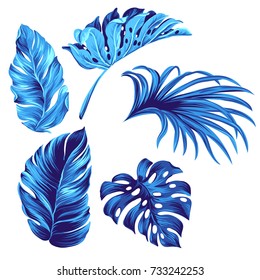 Set of vector tropical leaves. 