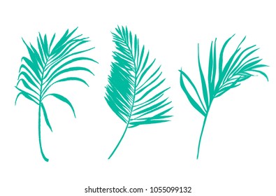 set of vector tropical leaves. hand drawn illustration. palm leaves silhouette.