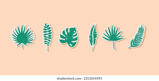 Conjunto de hojas tropicales vectoriales aisladas en fondo blanco, siluetas, monstera, hojas de palma, iconos de hojas de plátano, ilustración