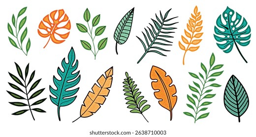 Set of vector tropical leaves, isolated on a white background, vector illustration