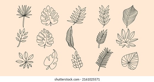 set of vector tropical leaves line art logo vector symbol illustration design