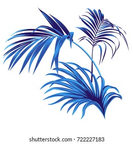 Set of vector tropical leaves. vector palm elements for graphic design. Beautiful botanical illustrations of elegant palm branches. Tropical silhouette palm. 