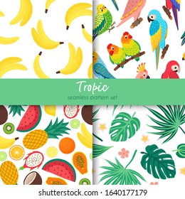 set of vector tropical seamless patterns. Collection of prints with exotic fruits, parrots, palm leaves, banana and monstera, vector hand drawn summer illustration. use for fabric, packaging paper