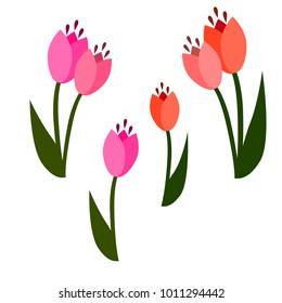 Set of a vector tulips isolated elements pink and red colours. Spring theme, Women's day.