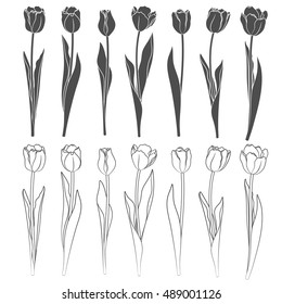 Set Vector Tulips Objects On White Stock Vector Royalty Free