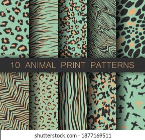 Set of vector turquoise animal print patterns. Collection of tiger, birds, zebra and leopard prints. For fabric, textile, wrapping, cover, banner etc.