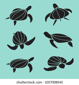 Set of vector turtle isolated on blue background. Animal. Reptile. Easy editable layered vector illustration.