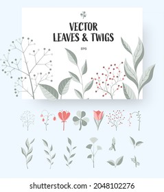 Set of vector twigs, leaves, flowers isolated on background. Template for hand-drawn blooms, green, red elements of nature, for your design presentation. Stylish collection of creative plants