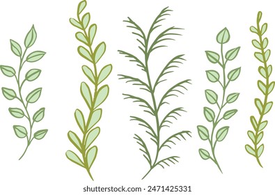 Set of vector twigs and leaves. Vector illustration. Natural plant.