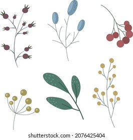 set of vector unusual plants flowers twigs botany colored berries for decor textile design blue red circles leaves