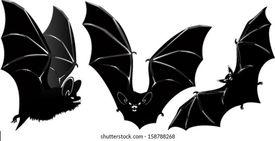 set of Vector Vampire bat