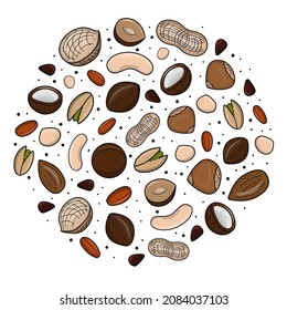 Set of vector various nuts