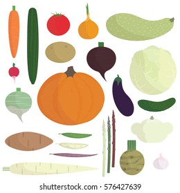 Set of vector vegetables with carrot, cucumber, tomato, potato, cabbage, pumpkin, onion, eggplant, garlic, etc.