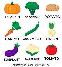 Set of vector vegetables. Cartoon flat style. Cauliflower, carrot, eggplant, onion, broccoli, pumpkin, tomato, potato, cucumber. Print for recipes, restaurant, supermarket, market place. Vegan food