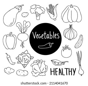 Set of vector vegetables. Eggplant and corn, broccoli cabbage, pumpkin and onions, peppers and beets, cucumber and tomato, peas and chili, potatoes and root tubers. Linear isolated elements for design